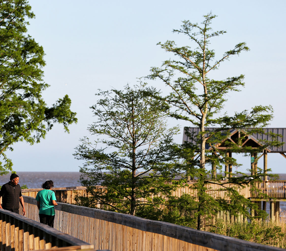 Boardwalk on the water